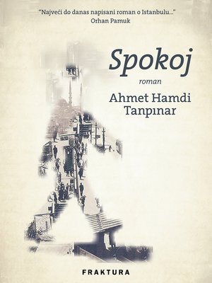 cover image of Spokoj